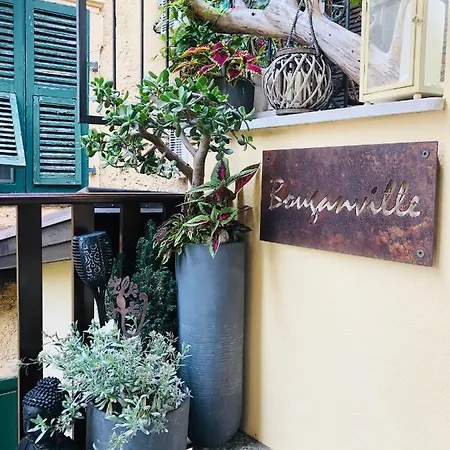 Bouganville
