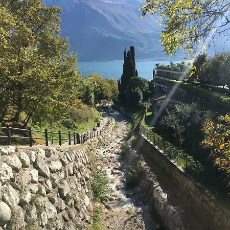 Bouganville